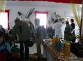farsang03